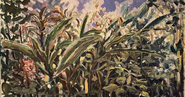 La Nación / Abre la muestra “Ku’e Kuarahy’ã” de Walter Martínez