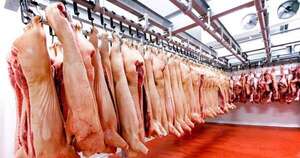 La Nación / Llega proyecto porcino de USD 300 millones y Paraguay  se consolida como imán de inversiones