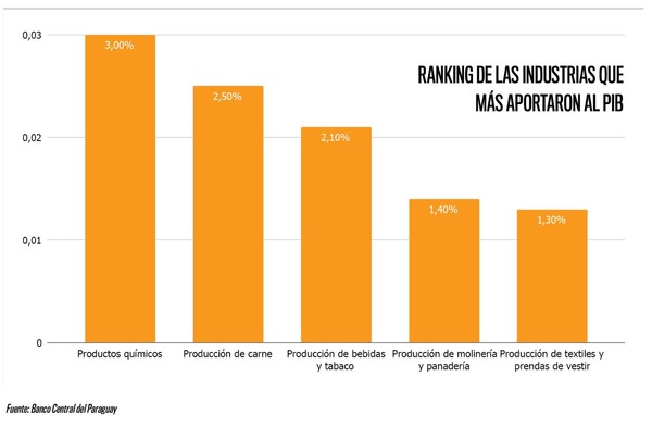 Manufactura en auge: rubros industriales que dinamizaron el PIB del país en 2024
