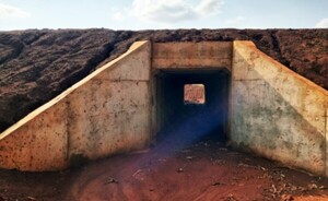 Afinan los últimos detalles de los pasos de fauna en Puerto Indio