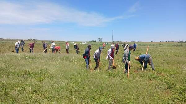 Codehupy critica falta de aplicación de la reforma agraria en Paraguay - Nacionales - ABC Color