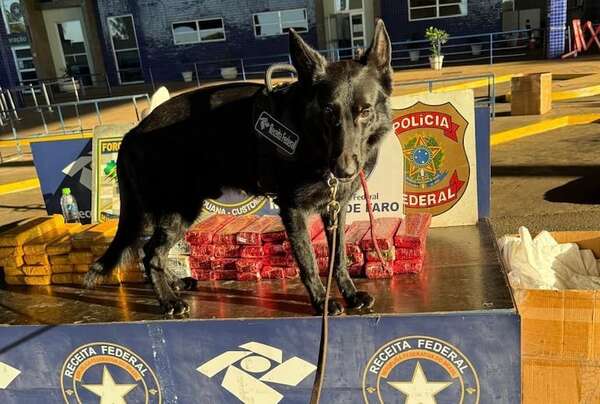 Brasil: detienen a paraguayos con marihuana en dos operativos realizados en el Puente de la Amistad - ABC en el Este - ABC Color