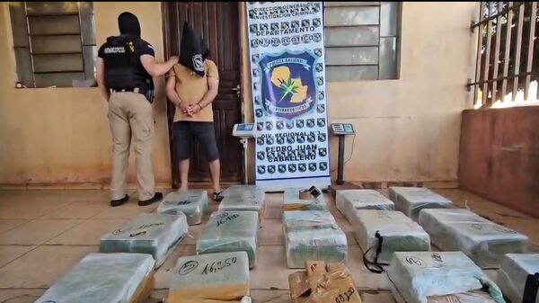 Popular / Incautan más de media tonelada de macoña