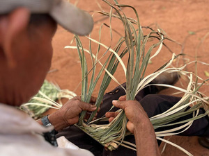 Feria de la Red Agroecológica: Nueva edición en la Plaza Italia