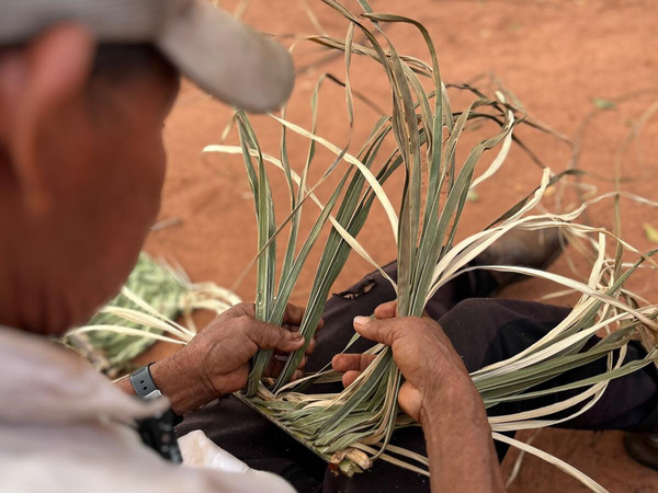 Feria de la Red Agroecológica: Nueva edición en la Plaza Italia