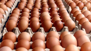 Paraguay sigue siendo uno de los países en donde el huevo está más barato, resaltan