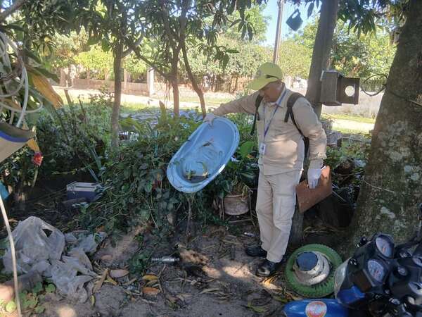 Senepa intensifica trabajos preventivos para frenar criaderos del aedes aegypti en Ayolas - Nacionales - ABC Color