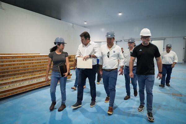 Hohenau consolida su primer parque industrial con la llegada de South Atlantic