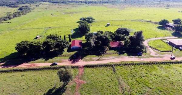 Diario HOY | Enfrentamiento entre policías y campesinos en intento de invasión a estancia de “Cabeza Branca”