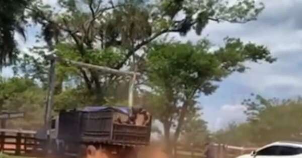 La Nación / Situación controlada: 30 detenidos tras fallido intento de invasión en estancia