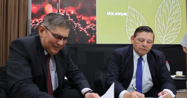 Crisis en el Indert: Peña congela las titulaciones y Ruiz Díaz pierde el apoyo del oficialismo