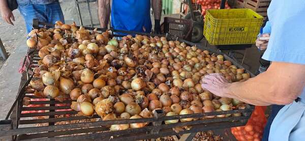 Comerciantes de tomate y cebolla sufren doble golpe: enfermedades y bajos precios - ABC Rural - ABC Color