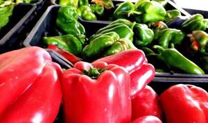 Para el titular del MAG, comerciantes frutihortícolas "no entienden la dinámica del negocio"