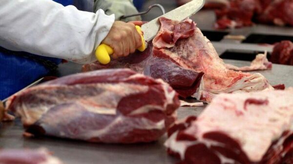 El precio de la carne cae 0,8 % en noviembre: cerdo y aves impulsan la baja, según la FAO