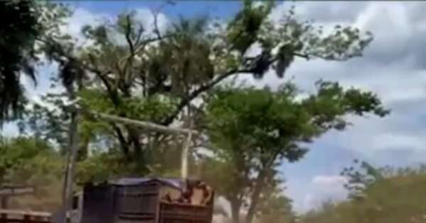 La Nación / Policía Nacional impide intento de invasión campesina en San Pedro