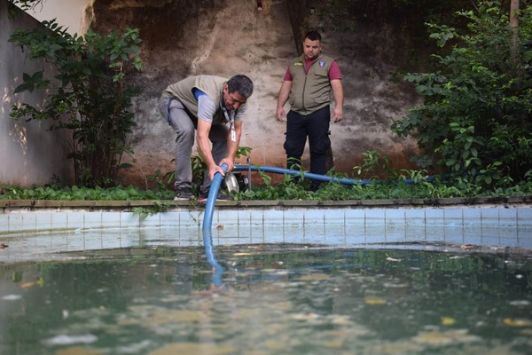 Récord: 1.342 Actas por Criaderos de Mosquitos en 3 Meses