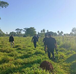 Incautan cinco vacunos en operativo fiscal y policial en Paso Horqueta - Concepción al Día