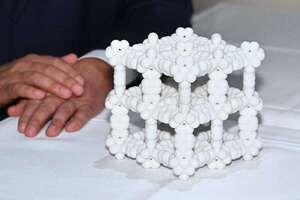 Premios Nobel 2025: La ciencia que florece a través de la paciencia y la colaboración - Ciencia - ABC Color