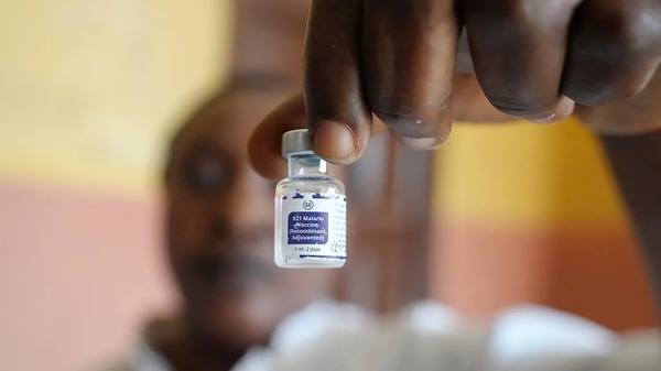 Alerta global: La malaria resurge con cifras alarmantes y amenaza de resistencia farmacológica