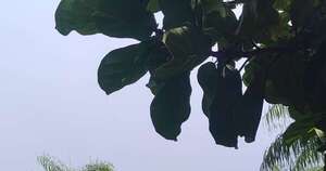 La Nación / Un mismo destino