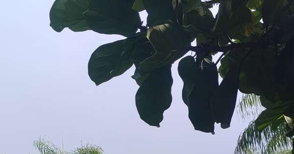 La Nación / Un mismo destino