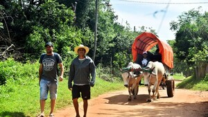 Con yuntas de bueyes las carretas van perpetuando la fiel tradición