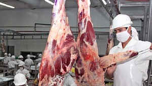 La carne paraguaya reconfigura sus destinos por guerras y volatilidades