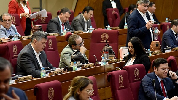 Hay coincidencia en que debe haber funcionarios profesionales