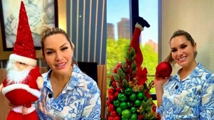 La dipu Johana Vega armó su arbolito y le cañearon