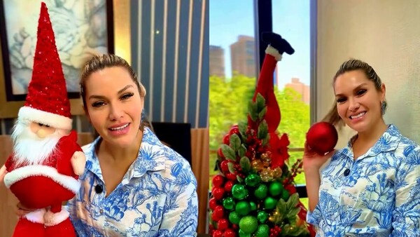 La dipu Johana Vega armó su arbolito y le cañearon