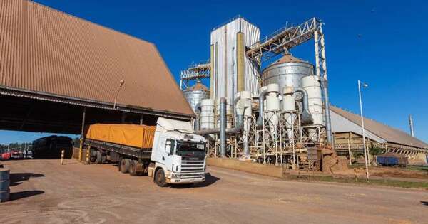 La Nación / El campo y la agroindustria se destacan como motores del crecimiento sostenido