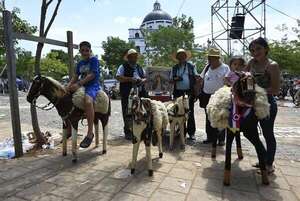 Caballitos para las fotos sobreviven pese a los celulares en Caacupé - Nacionales - ABC Color