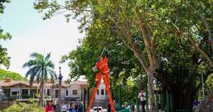 La Nación / Bailarán un vals por la reapertura de la plaza