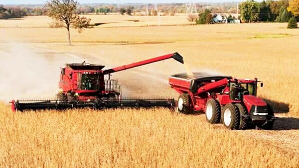 Agronegocios dejan USD 3.300 millones y el país se consolida como proveedor