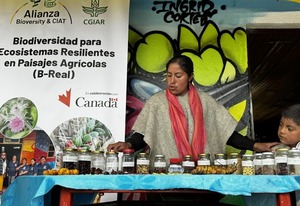  Indígenas Salvan Semillas Ancestrales en Colombia