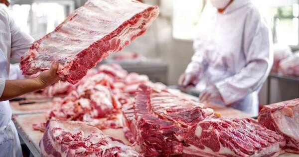 Tras récord cárnico, ¿hasta dónde puede llegar Paraguay en 2026?