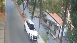 Fatal accidente: Motobolt atropelló a un perro y su pasajera murió