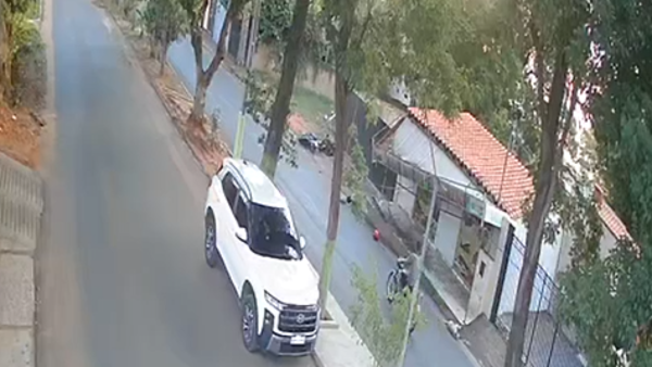 Fatal accidente: Motobolt atropelló a un perro y su pasajera murió