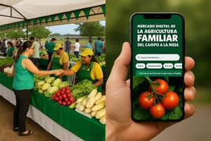 MAG lanza plataforma digital para conectar a productores familiares con consumidores - ADN Digital
