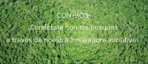 Infona presentó plataforma digital interactivo sobre especies forestales del Paraguay - ADN Digital