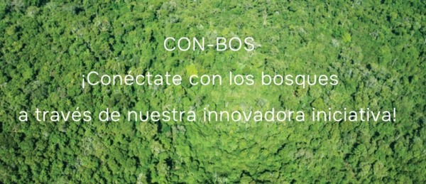 Infona presentó plataforma digital interactivo sobre especies forestales del Paraguay - ADN Digital