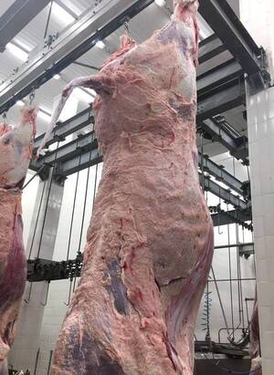 Competitividad en alza: Paraguay se fortalece como proveedor de alto valor