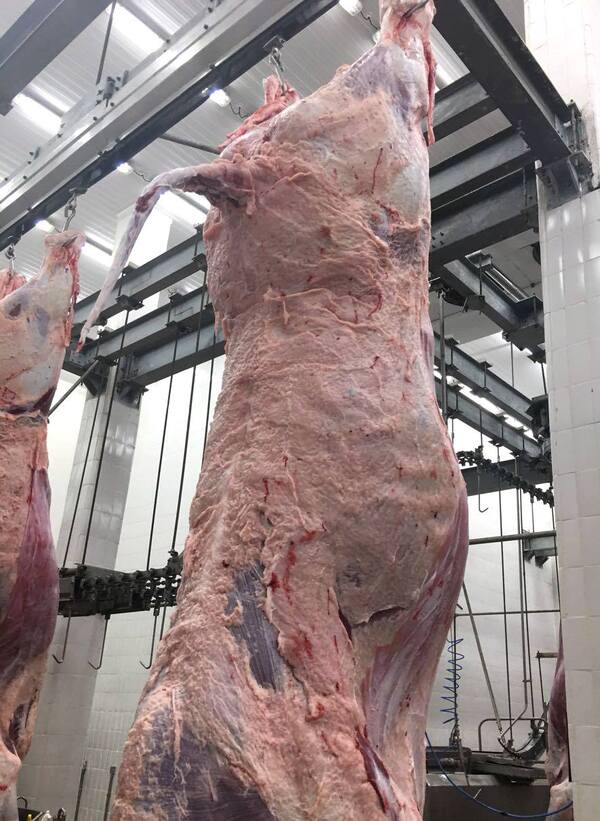 Competitividad en alza: Paraguay se fortalece como proveedor de alto valor