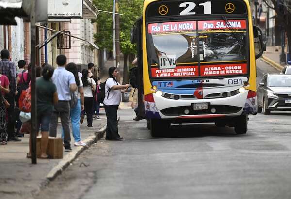 Senado tratará mañana la reforma del transporte en medio de la huelga anunciada por choferes - Economía - ABC Color
