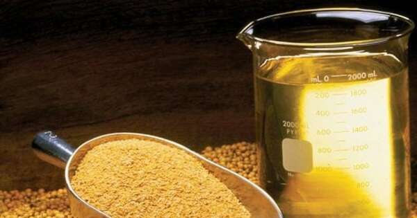 La Nación / Industria aceitera procesa 600.000 toneladas de granos al año y 98 % corresponde a soja