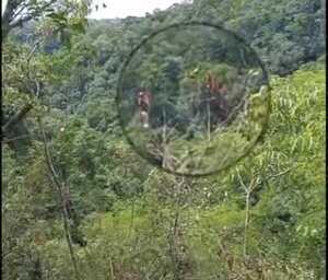 Popular / (VIDEO)Denuncian que turistas opyta atrapados en tirolesa de Salto Cristal