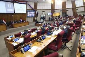 Salvataje a intendentes: tras un año de cajoneo, pasan la pelota a la Justicia - Política - ABC Color