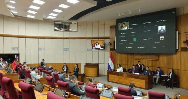 La Nación / Reforma del transporte público: dictamen en mayoría por la versión Diputados