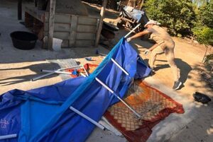 SENEPA y aliados interinstitucionales desarrollan jornada de prevención de criaderos en Pilar