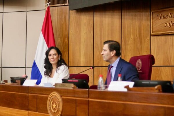 Ley de reforma del transporte público encara su etapa decisiva en el Senado